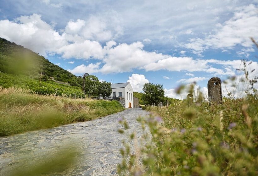 فندق Villa Patzay Bor