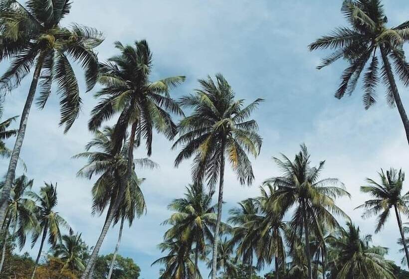 בית מלון כפרי Bambooraya Villa