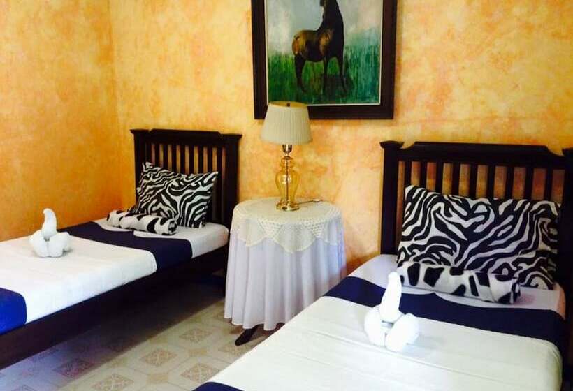 هتل Country Inn  Baggao Main