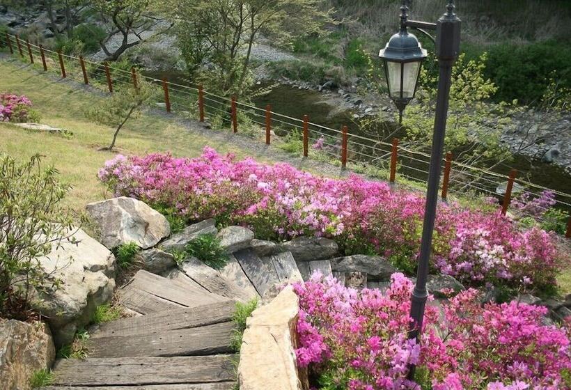 ホテル Dvor Pension