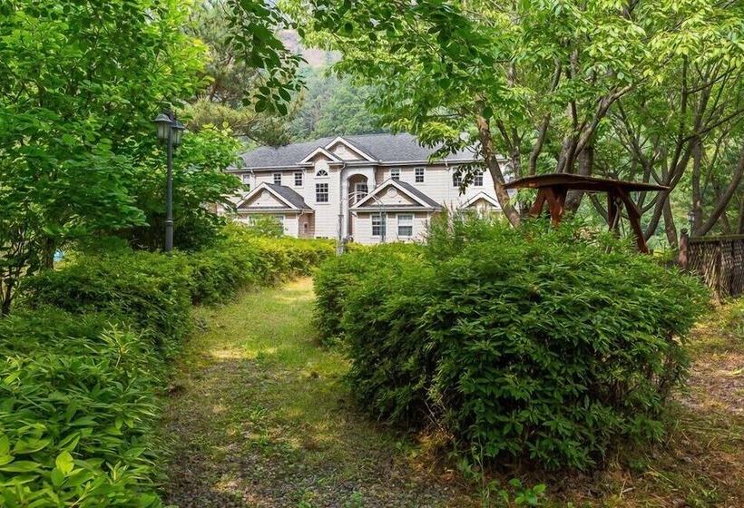 ホテル Dvor Pension