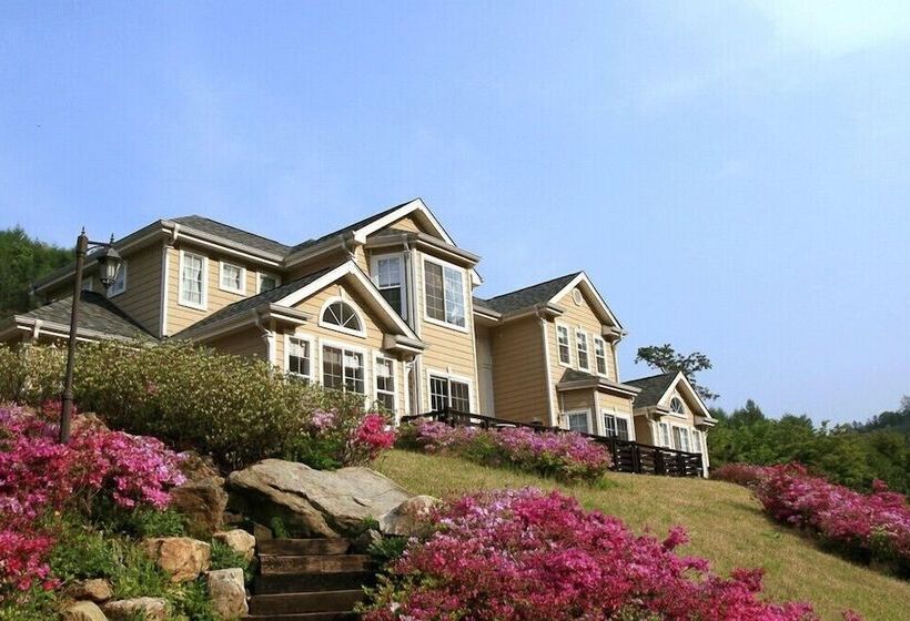 בית מלון כפרי Dvor Pension