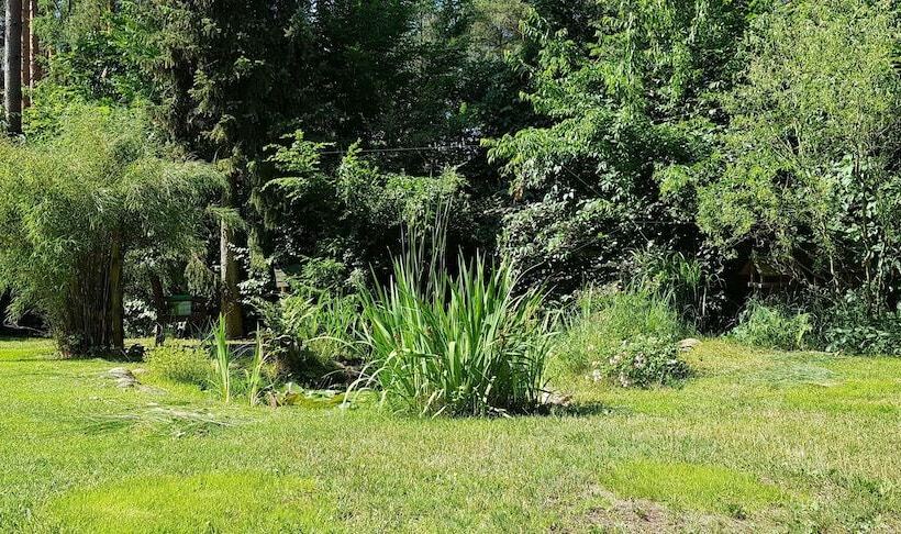 בית מלון כפרי Ferienhaus Potsdam In Fichtenwalde