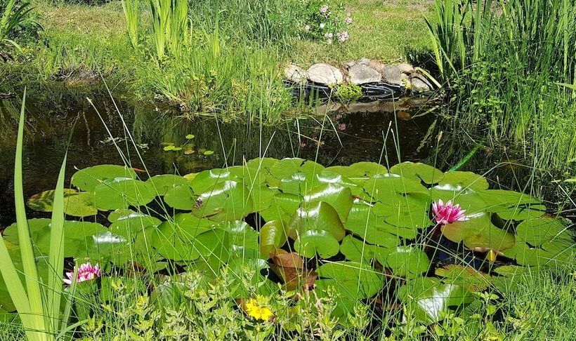 בית מלון כפרי Ferienhaus Potsdam In Fichtenwalde