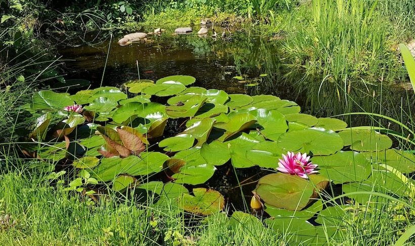 בית מלון כפרי Ferienhaus Potsdam In Fichtenwalde