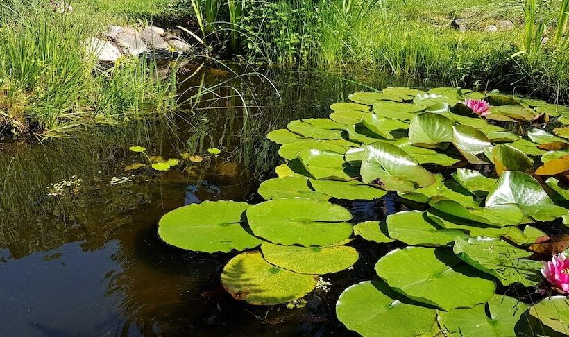 בית מלון כפרי Ferienhaus Potsdam In Fichtenwalde