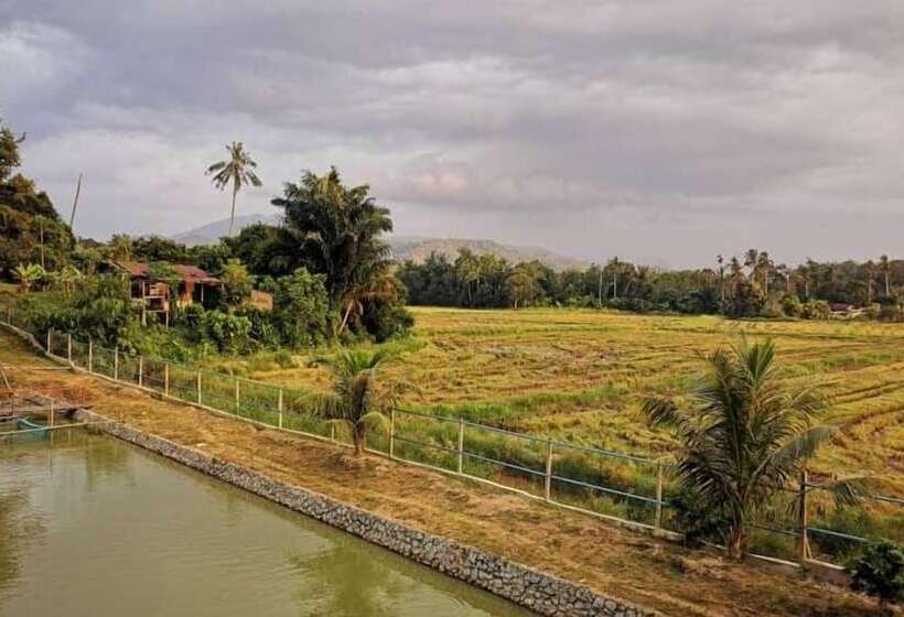 Отель Guesthouse Beluru