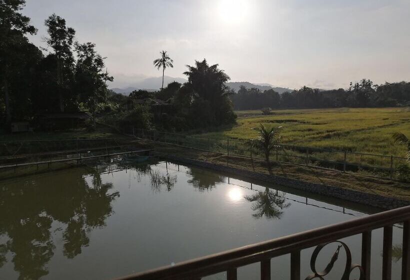 Отель Guesthouse Beluru