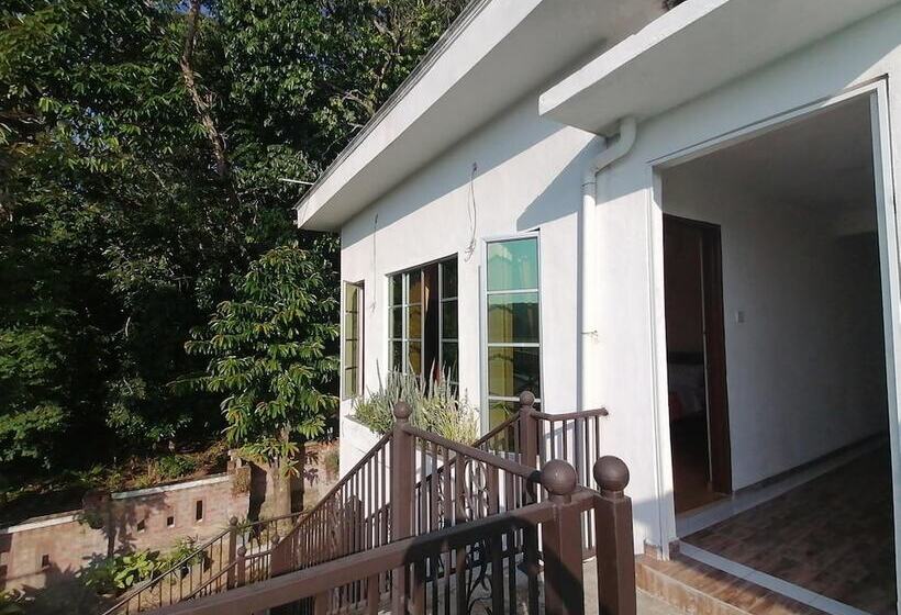 Отель Guesthouse Beluru