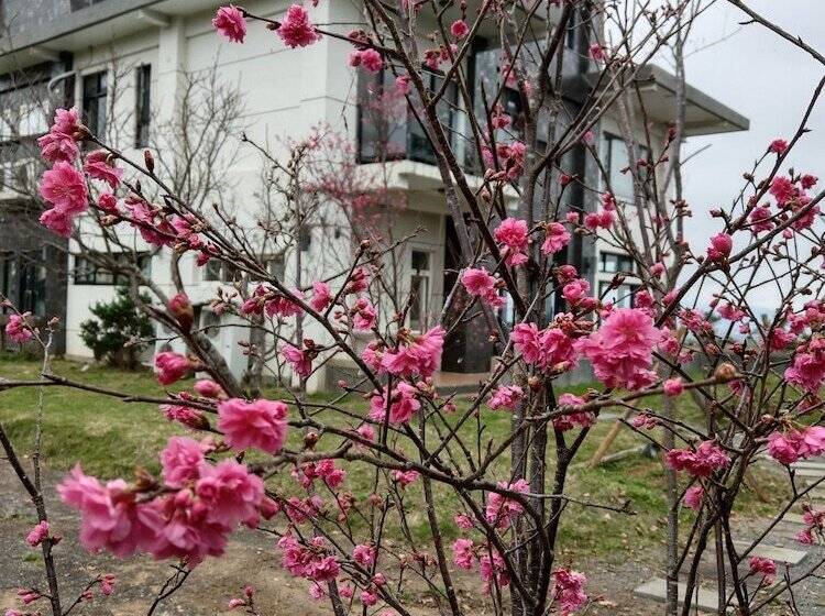 هتل Moonstone Bed And Breakfast