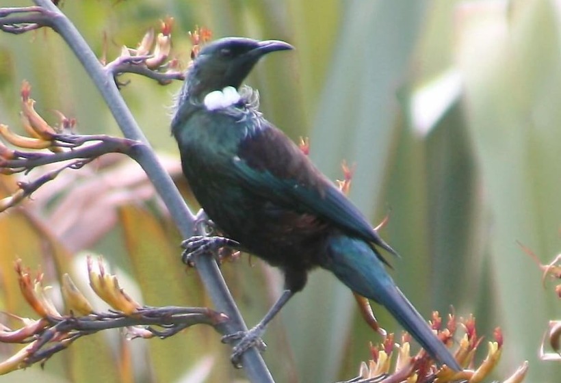 בית מלון כפרי Orchard View Farmstay Retreat