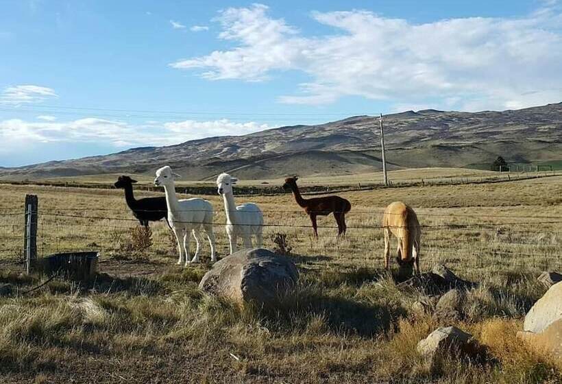 هتل Tussock Lodge Waipiata