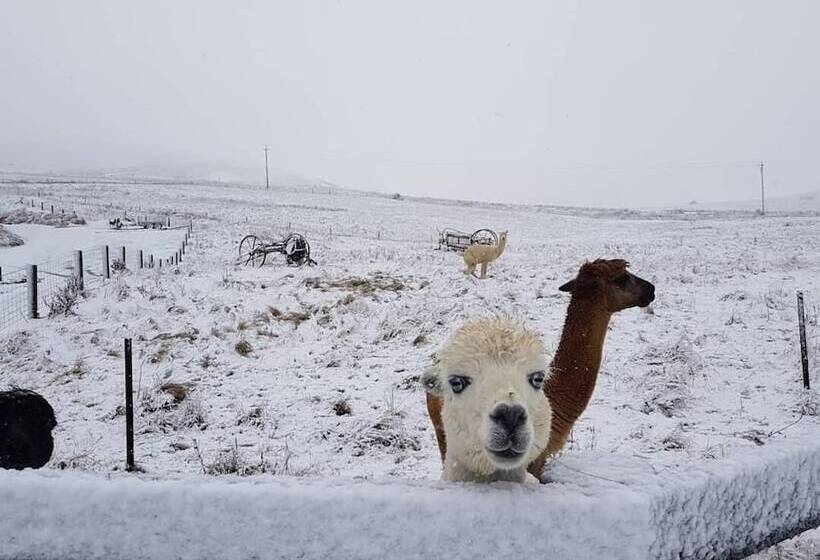 هتل Tussock Lodge Waipiata