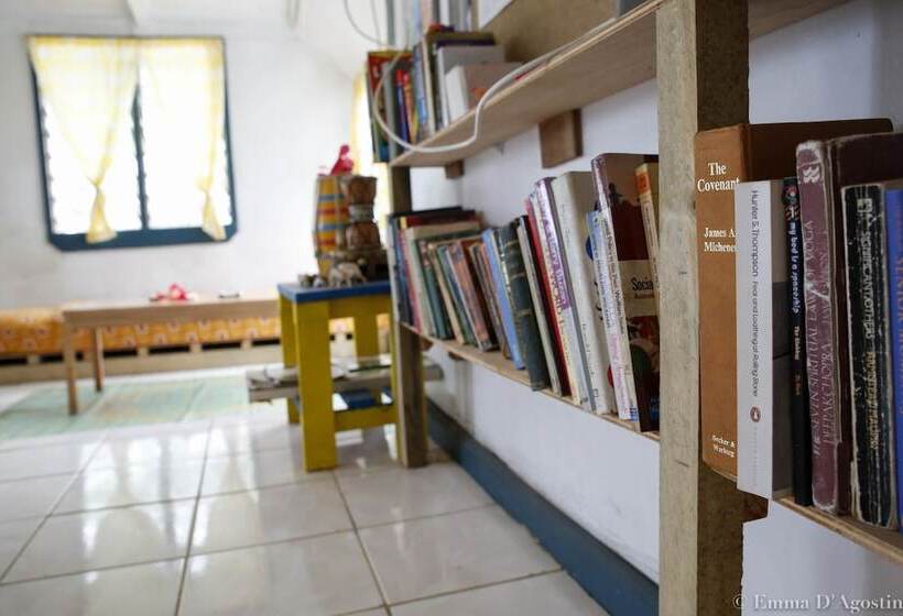 호텔 Vatia Beach Eco Lodge   Hostel