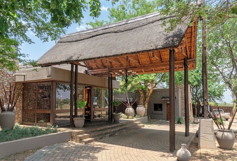 ホテル Zebula Boutique