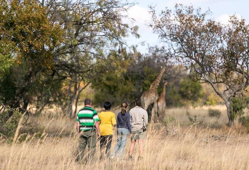 ホテル Zebula Boutique