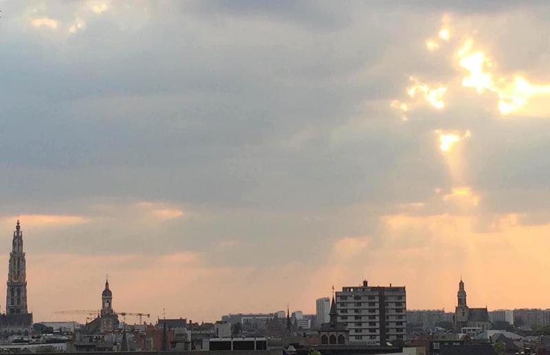 فندق صغير The Ash