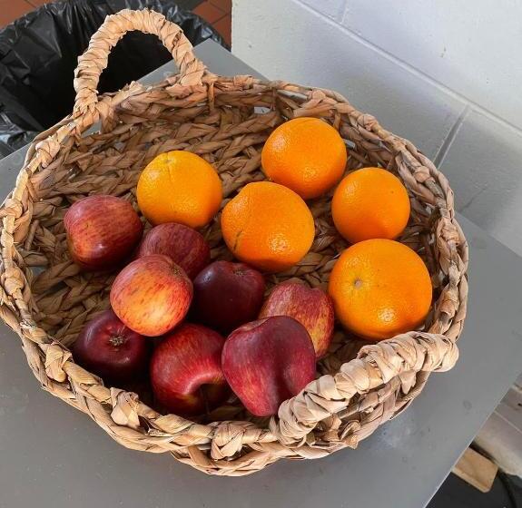 הוסטל Youth Shack Backpackers Darwin