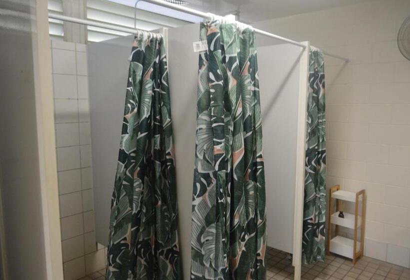 הוסטל Youth Shack Backpackers Darwin