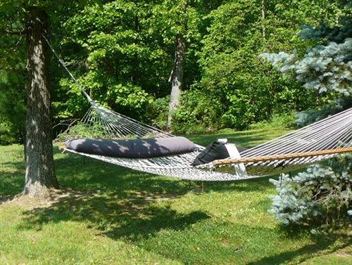 צימר Lil Black Bear Inn