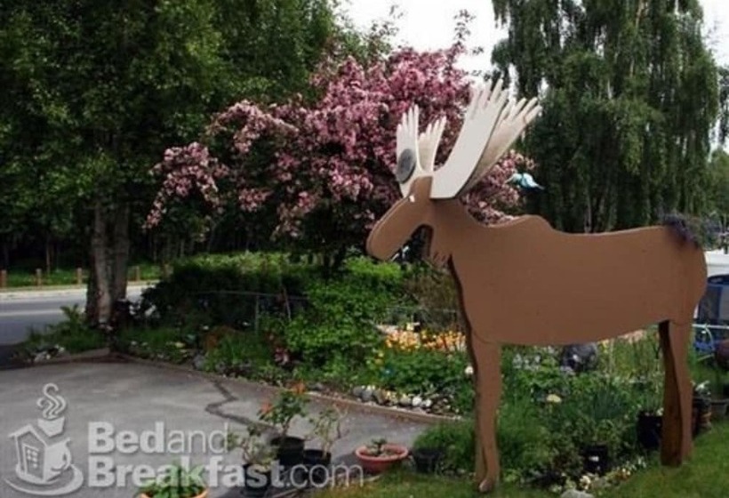 Anchorage Walkabout Town B&b