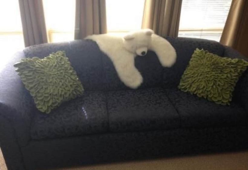 Anchorage Walkabout Town B&b