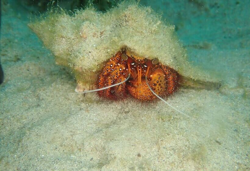 Arkipelago Beach Resort