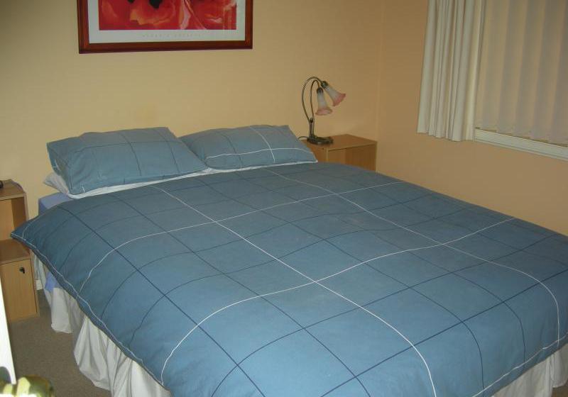 مبيت وإفطار Busy Buzz