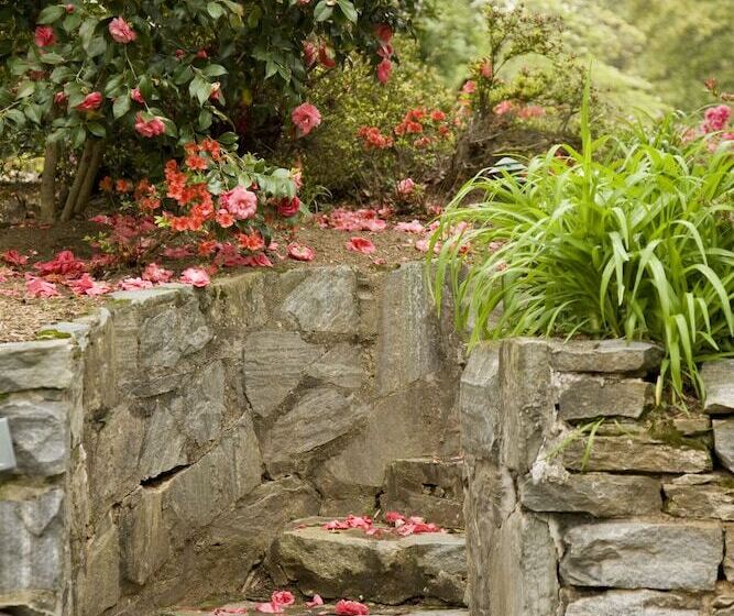 Bed and Breakfast 1906 Pine Crest Inn