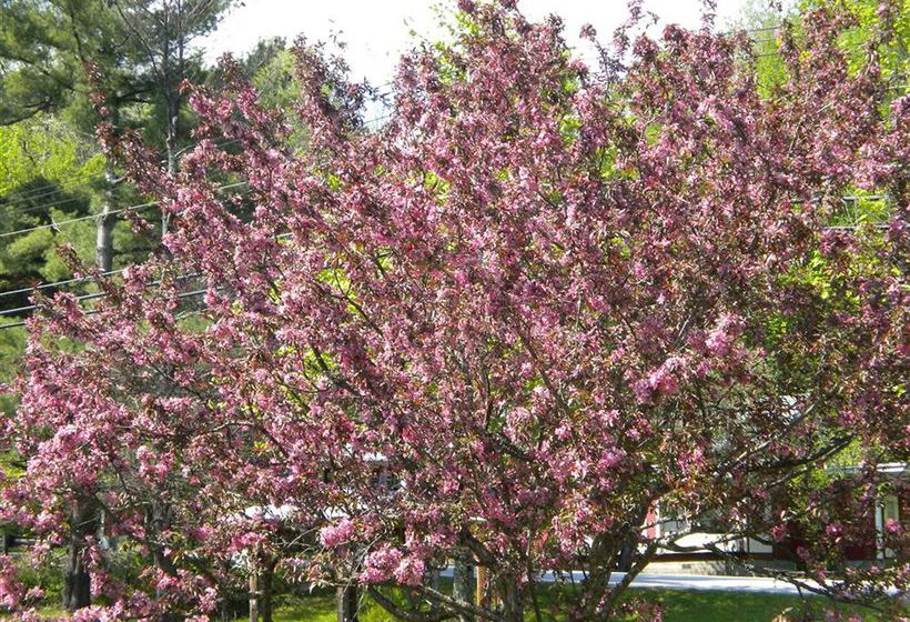 민박 Bears Lair Inn