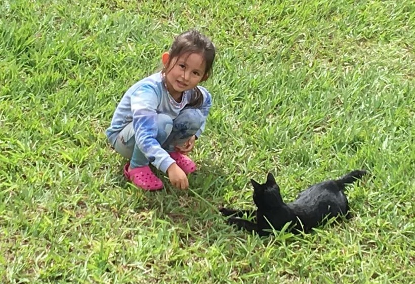 مبيت وإفطار Hawaii Island Resort