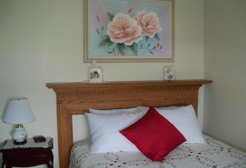 Bed and Breakfast Holly Beach