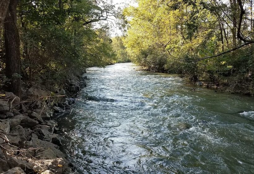 住宿加早餐  Hummingbird Inn