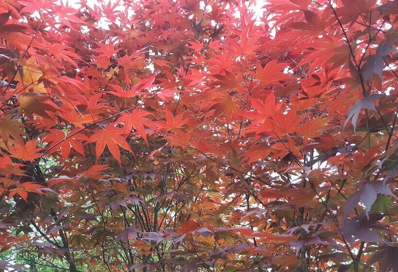 민박 Hummingbird Inn