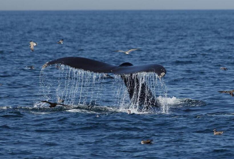 ベッドアンドブレックファースト The Inn At The Oaks