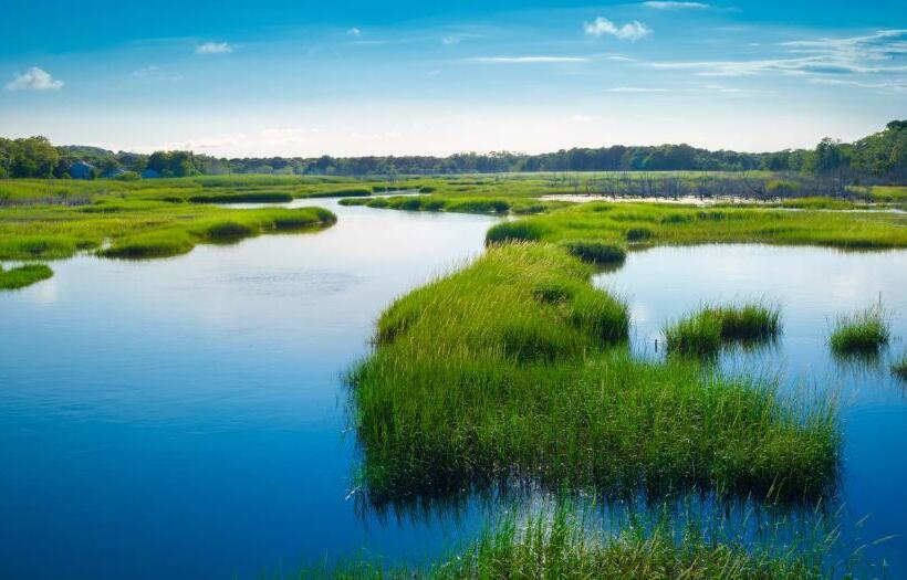 ベッドアンドブレックファースト The Inn At The Oaks