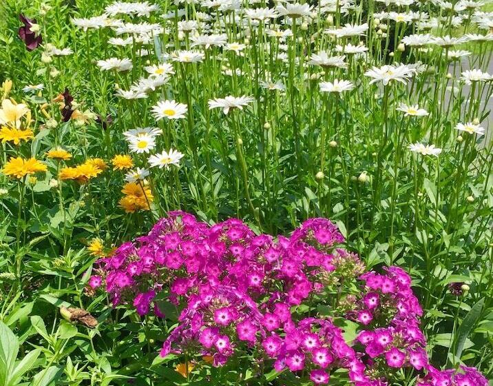 민박 Manor House Inn