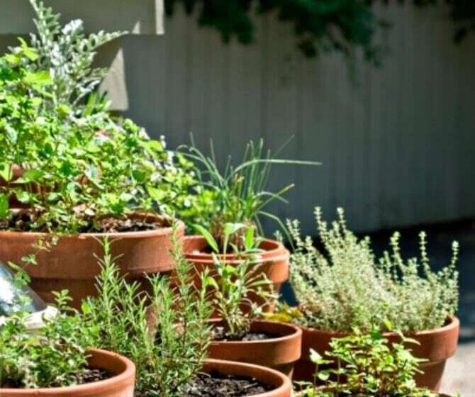 민박 Marshall Slocum Inn