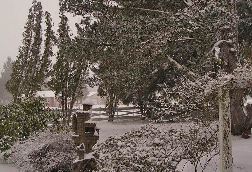 مبيت وإفطار Miller Tree Inn