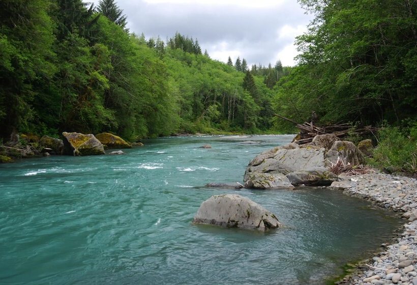 مبيت وإفطار Miller Tree Inn