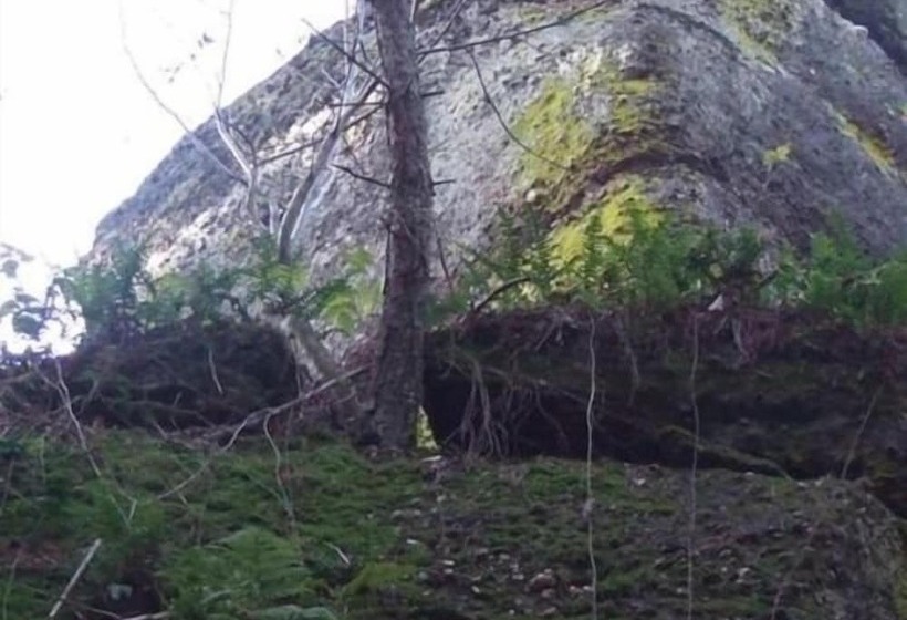 צימר Pension Linstant