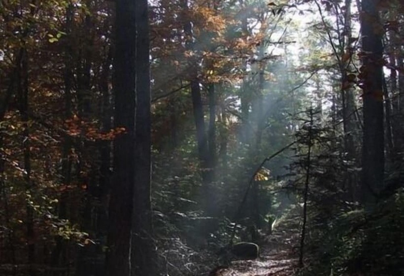 צימר Pension Linstant