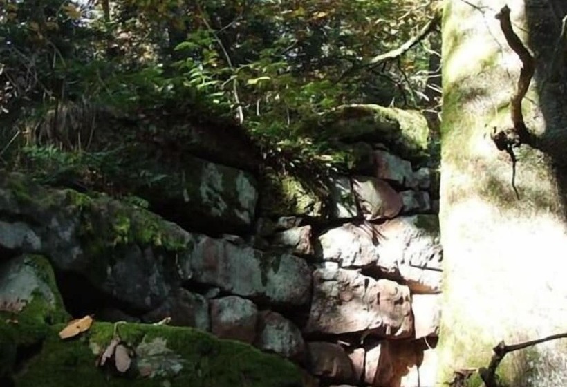 צימר Pension Linstant