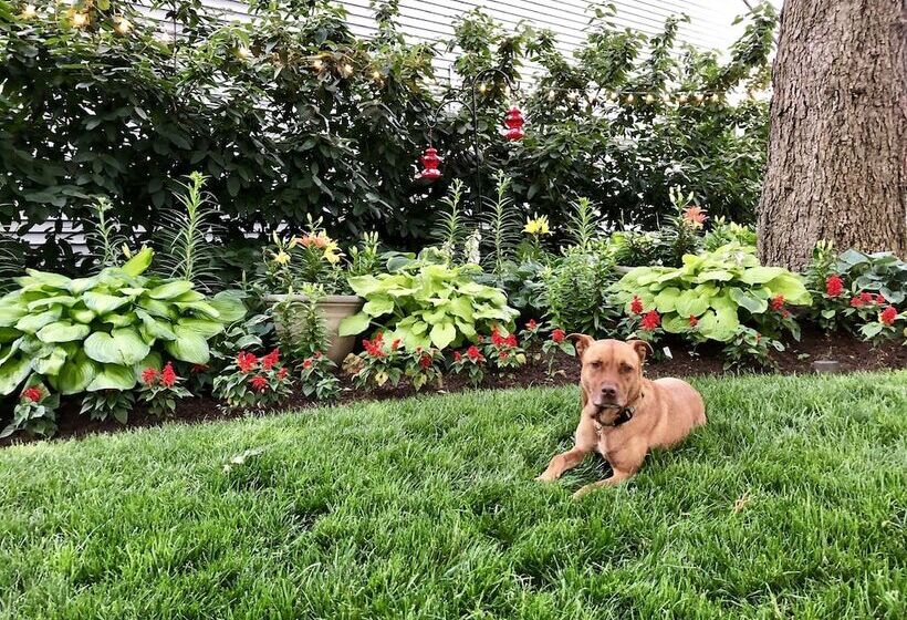 Captain Wohlt Inn Bed & Breakfast