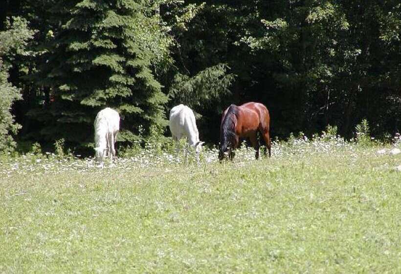 مبيت وإفطار The Inn On The Horse Farm