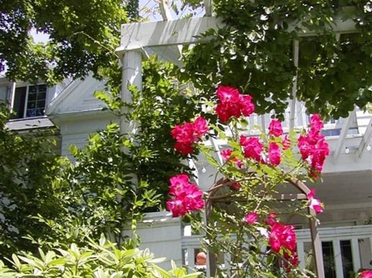 مبيت وإفطار The Inn On The Horse Farm