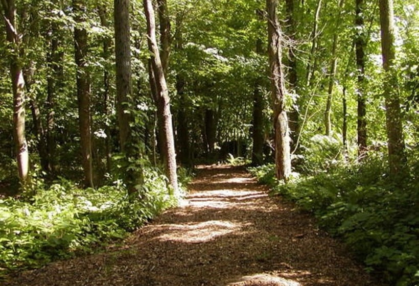 مبيت وإفطار The Inn On The Horse Farm