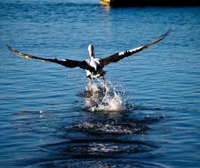Burnie Airport Motel