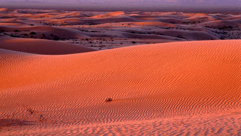 California Suites Motel