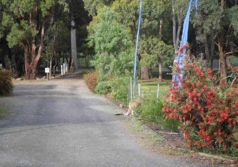 Grampians Chalets